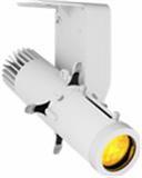 Image of Prolights ECLDISPLAYDATFCW