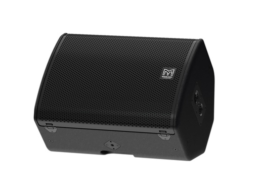 FP12 - 12" Compact Point Source Loudspeaker